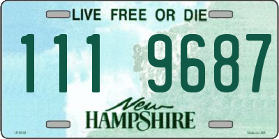 NH license plate 1119687