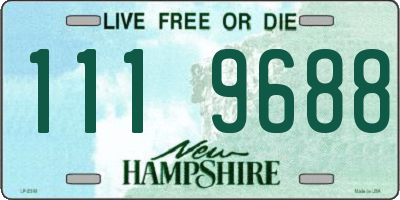 NH license plate 1119688