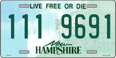 NH license plate 1119691