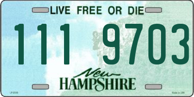 NH license plate 1119703