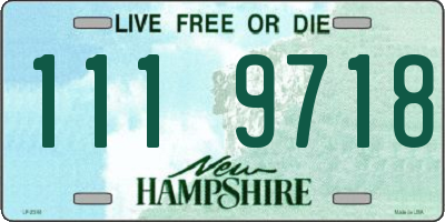 NH license plate 1119718