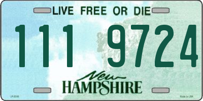 NH license plate 1119724