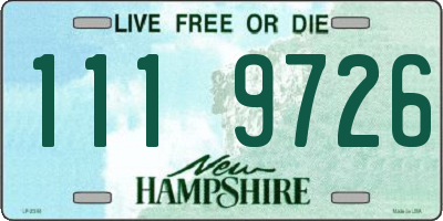 NH license plate 1119726