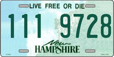 NH license plate 1119728