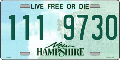 NH license plate 1119730