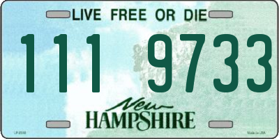 NH license plate 1119733