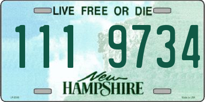 NH license plate 1119734