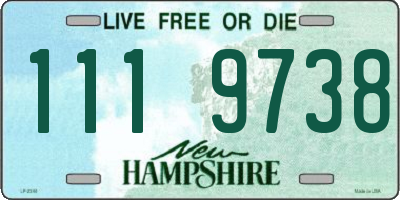 NH license plate 1119738