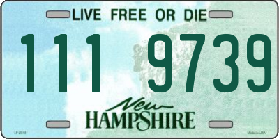 NH license plate 1119739