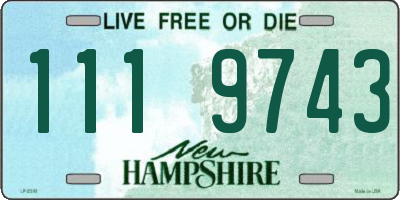 NH license plate 1119743