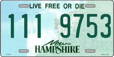NH license plate 1119753