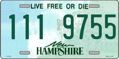NH license plate 1119755
