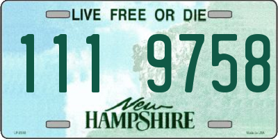 NH license plate 1119758