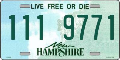NH license plate 1119771