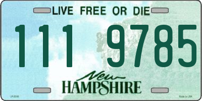 NH license plate 1119785
