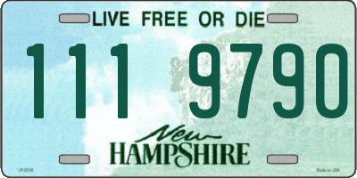 NH license plate 1119790