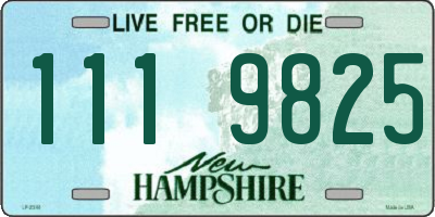 NH license plate 1119825