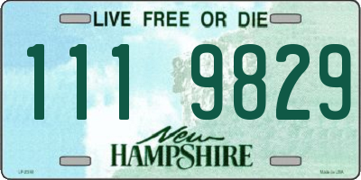 NH license plate 1119829