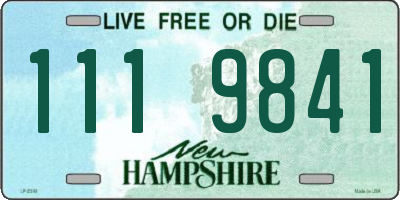 NH license plate 1119841