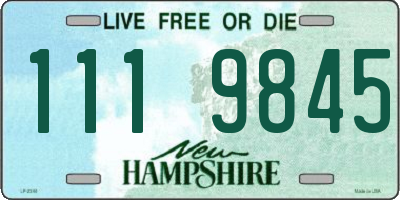 NH license plate 1119845