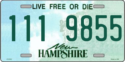 NH license plate 1119855