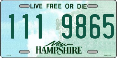NH license plate 1119865