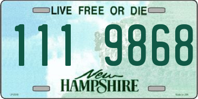 NH license plate 1119868