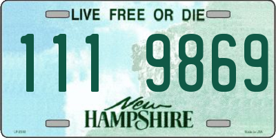 NH license plate 1119869