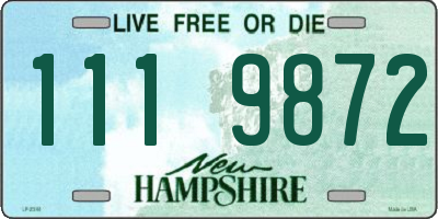 NH license plate 1119872