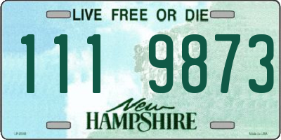 NH license plate 1119873