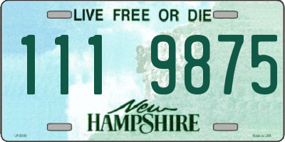NH license plate 1119875