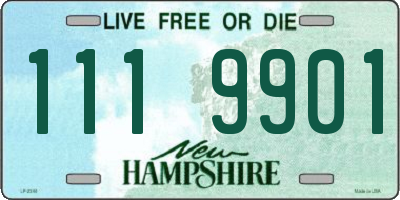 NH license plate 1119901