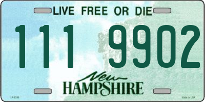 NH license plate 1119902