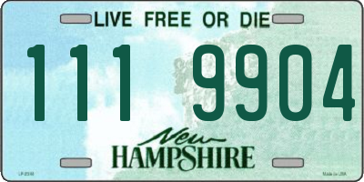 NH license plate 1119904