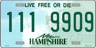 NH license plate 1119909