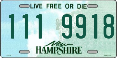NH license plate 1119918