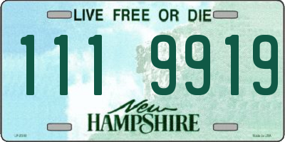NH license plate 1119919