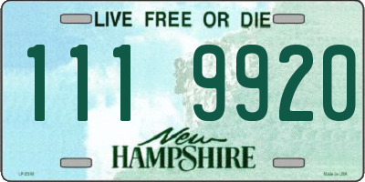NH license plate 1119920