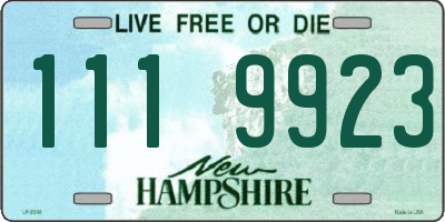 NH license plate 1119923