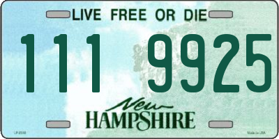 NH license plate 1119925