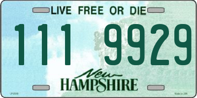 NH license plate 1119929
