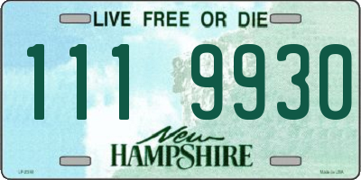 NH license plate 1119930