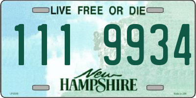 NH license plate 1119934