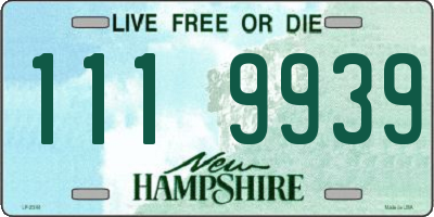 NH license plate 1119939