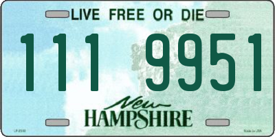 NH license plate 1119951
