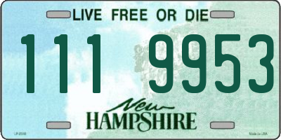 NH license plate 1119953