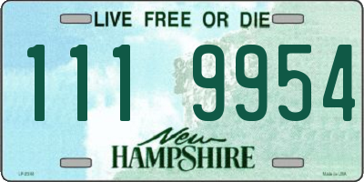 NH license plate 1119954