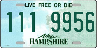 NH license plate 1119956