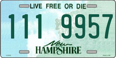 NH license plate 1119957
