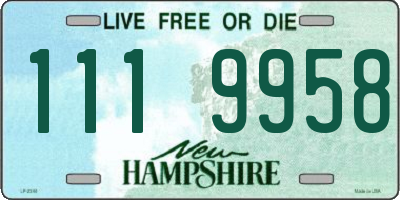 NH license plate 1119958